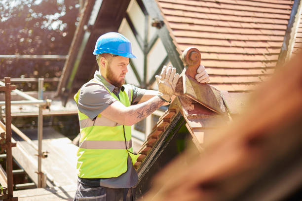 Best Roof Gutter Cleaning  in Dahlone, GA