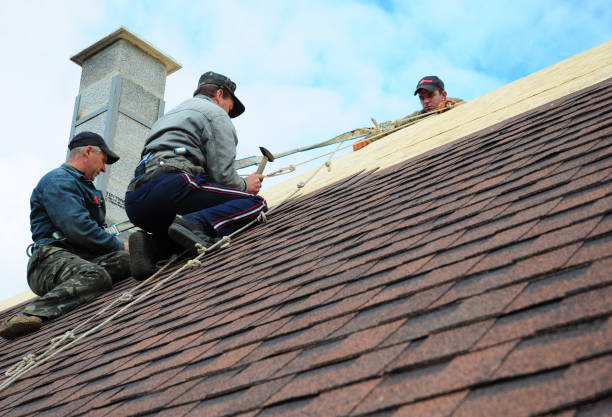Best Gutter Installation and Roofing  in Dahlone, GA