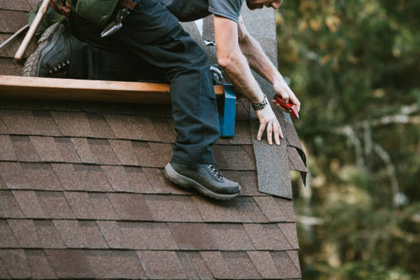 Best Residential Roofing Contractor  in Dahlone, GA