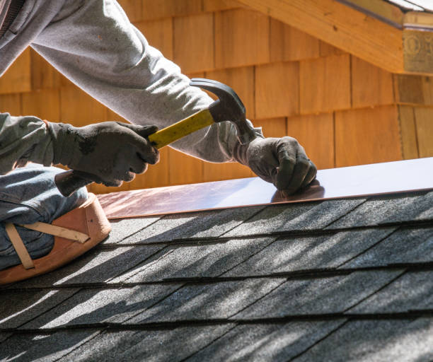 Best Roof Maintenance Services  in Dahlone, GA